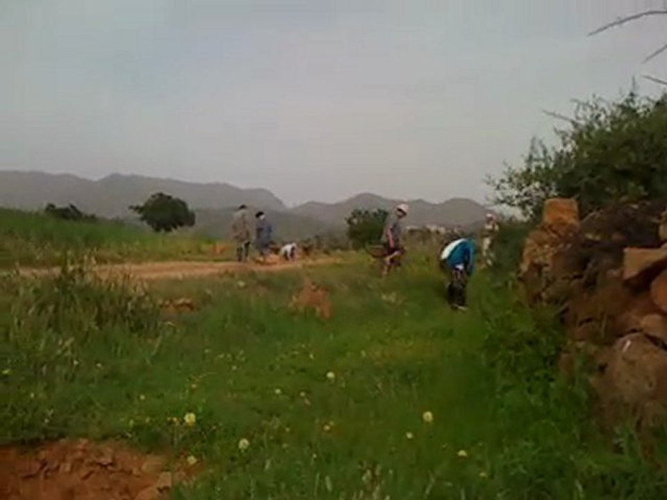 ikhddamn ghzar lmzins