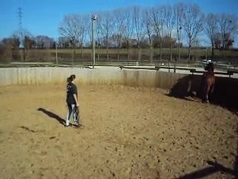 1ere leçon ethologie Alysson : Le mouvement