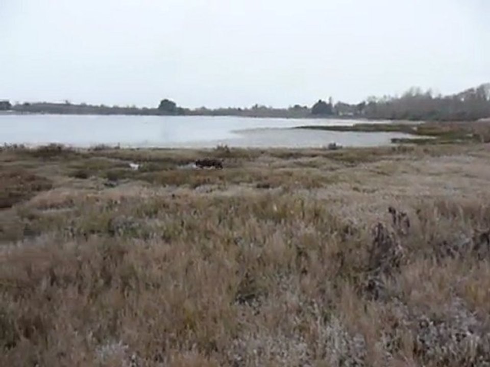 EWANE s'éclate à la mer, Mars 2010 3