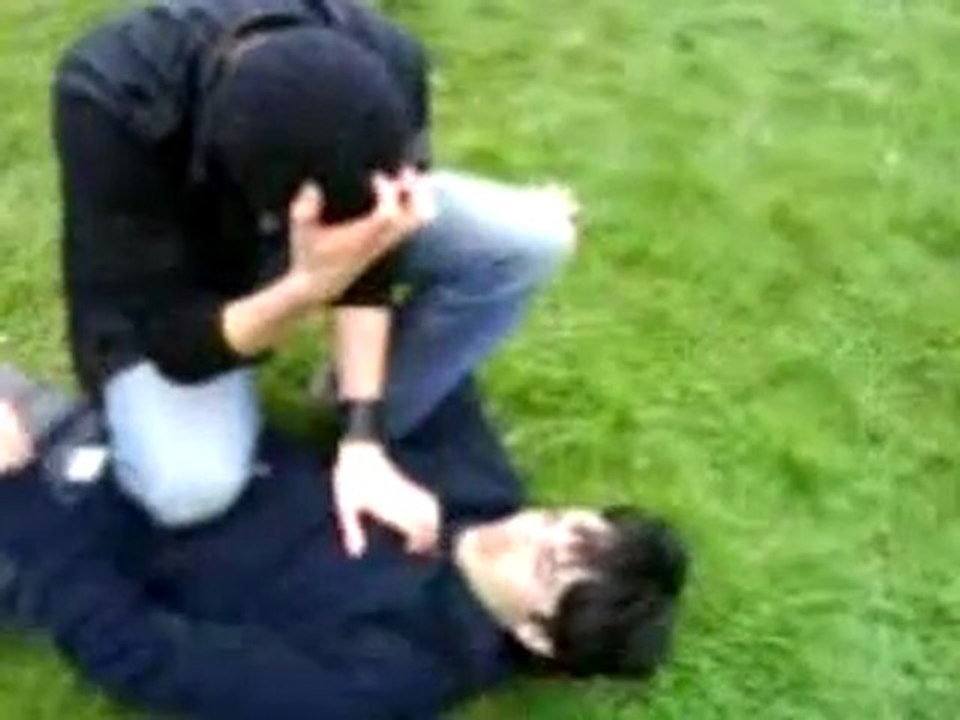 Chicken Killer : Le Soulevement des Poulets