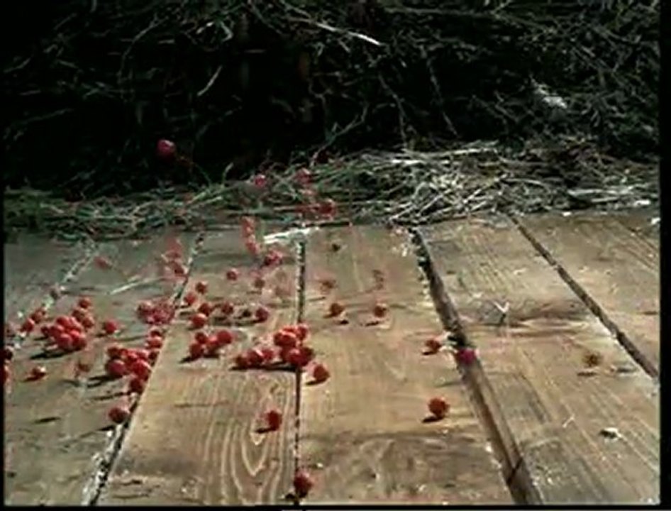 Нет пути назад , Alexandr Malinin