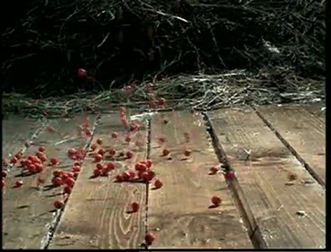 Нет пути назад , Alexandr Malinin