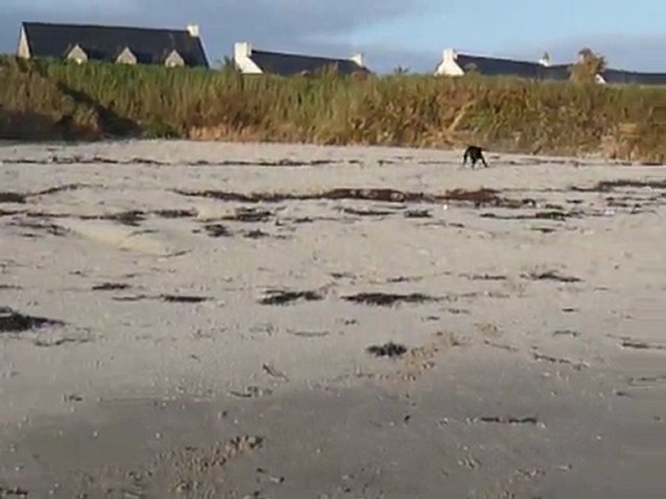 EWANE à la mer, Mars 2010 5