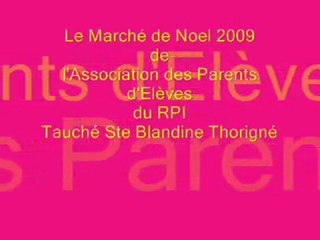 Marche de noel 2009 de l'ape de tauche thorigne
