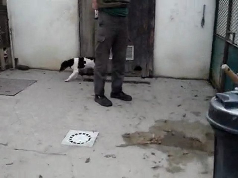 sniper vidéo