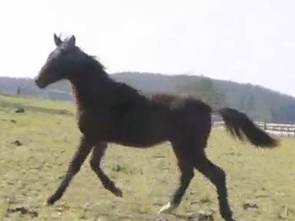 farah 1 ans