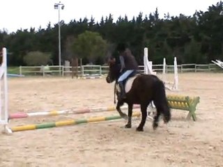 challenge équitation 28.03.2010