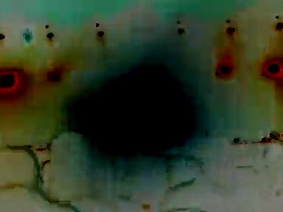 JUNGLE JUICE Ltd 05 cabaret sauvage 26.03.2010