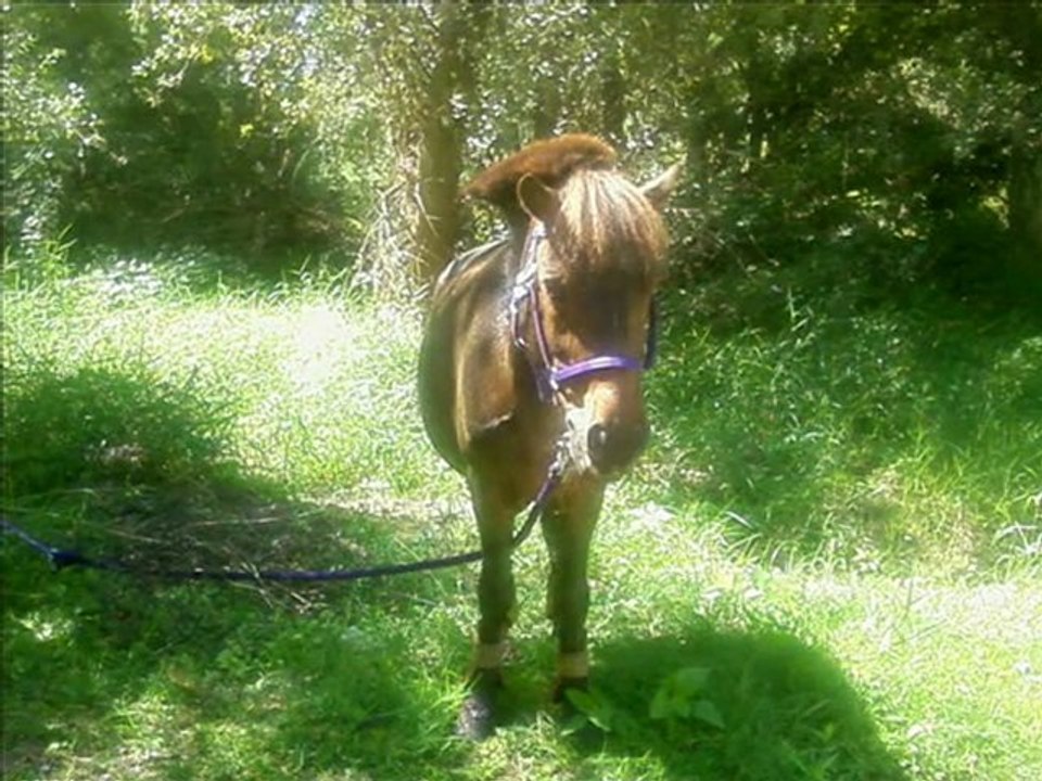 Orchyssou Amour de ma vie