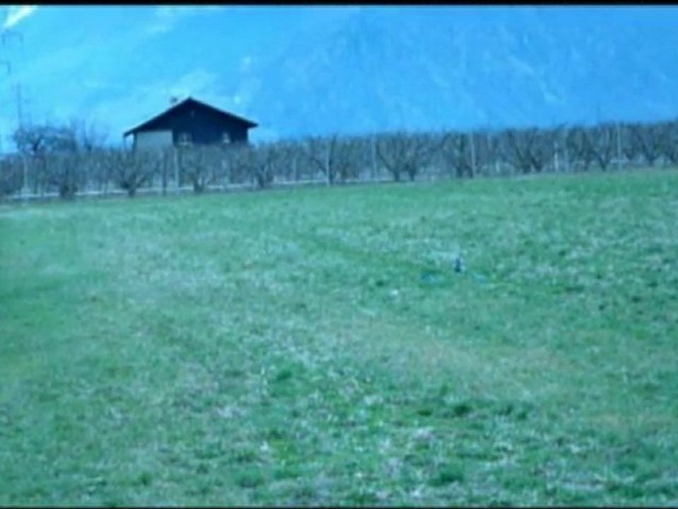 CopterX 450 - beginner flight