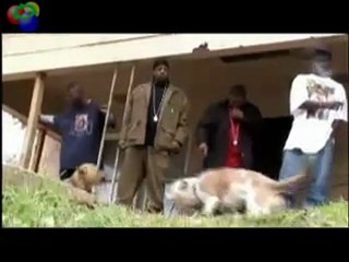 Big Tuck-Southside Da Realist