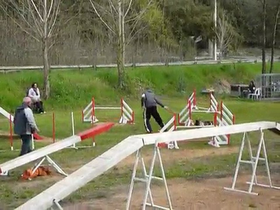 Villeneuve Loubet - Brownie - Open