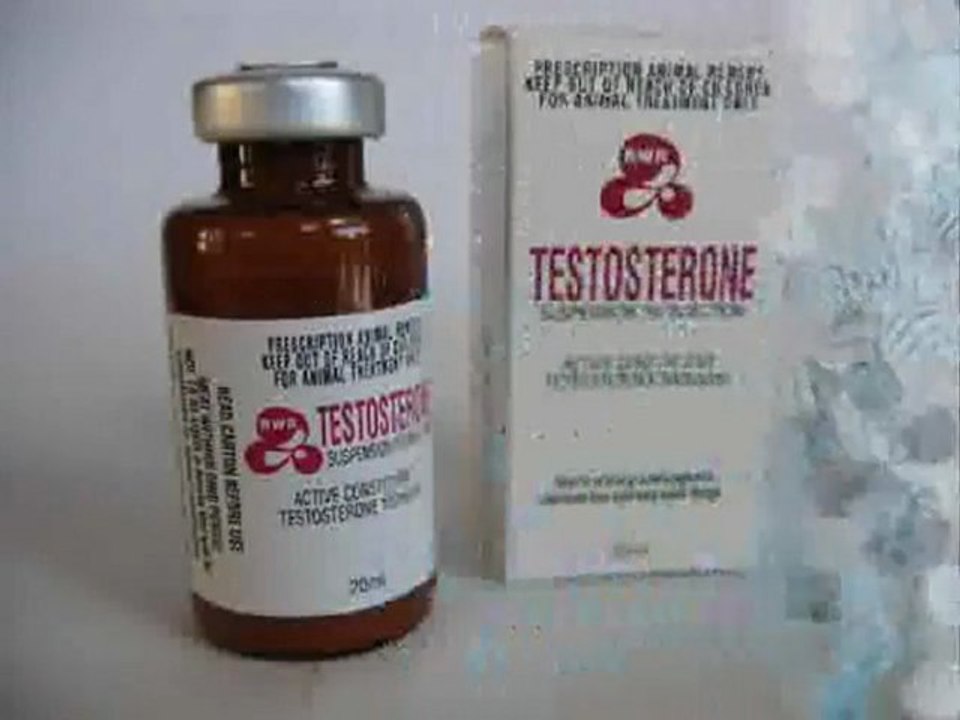 Testosterone Phenylpropionate