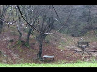 huseyin akyol, ozur dilerim yuregim, yonetmen murat ozcelik