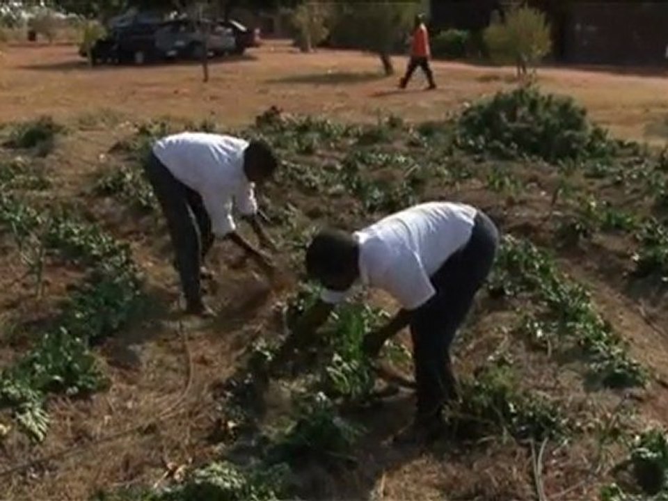 Public Service Innovation in South Africa