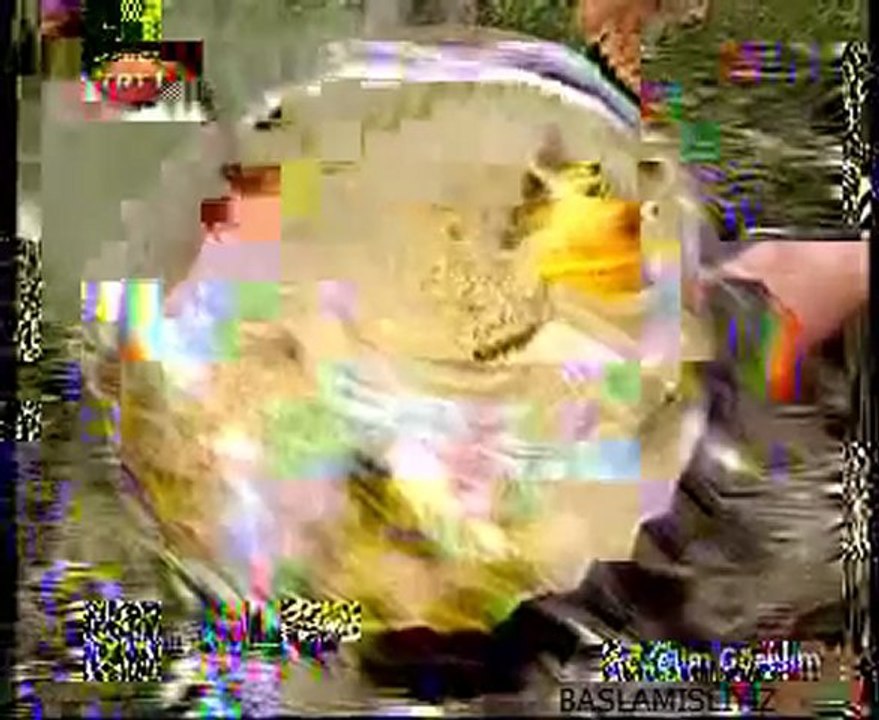 Ezin Başlamış Köyü Gezelim Görelim