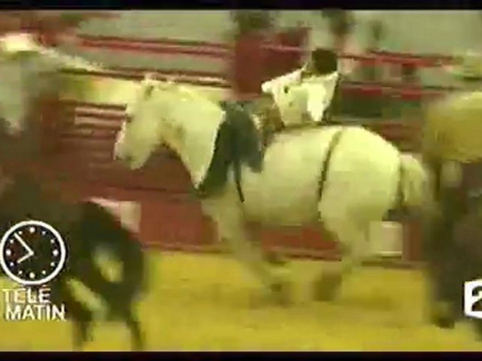 Reportage sur l'équitation western de travail