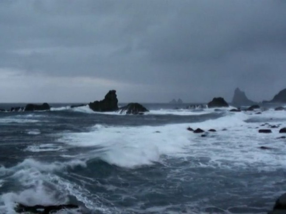 Interlude | Canaries