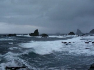 Interlude | Canaries