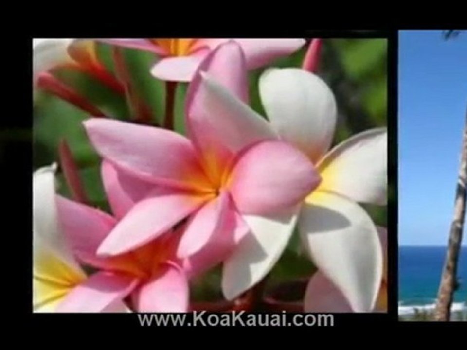 Kauai Island Luxury Homes