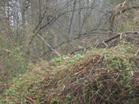 buy land greene, buy land in greene, land sale