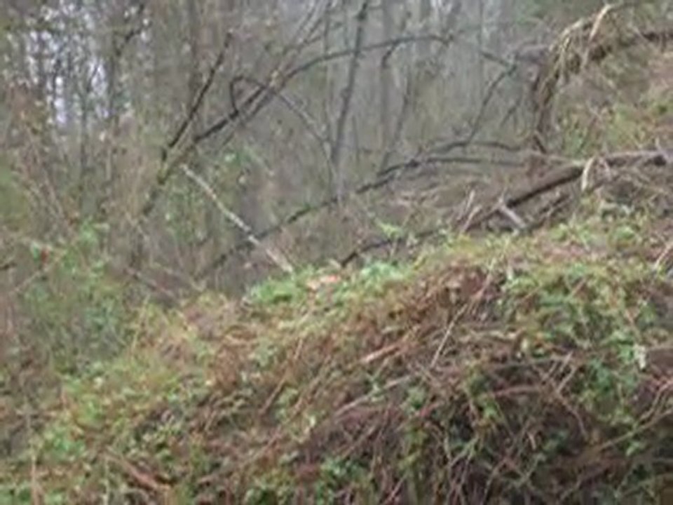 buy land greene, buy land in greene, land sale