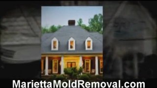 Marietta Mold Removal