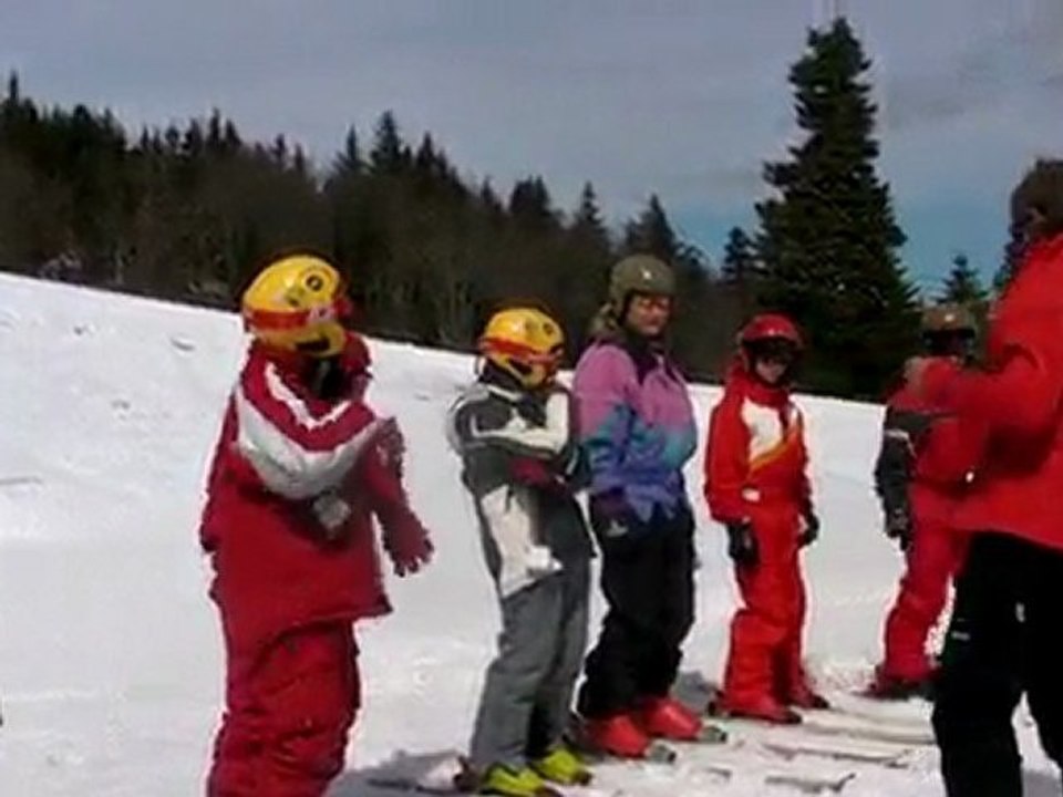 Langevin01