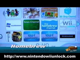 Nintendo Wii Unlock