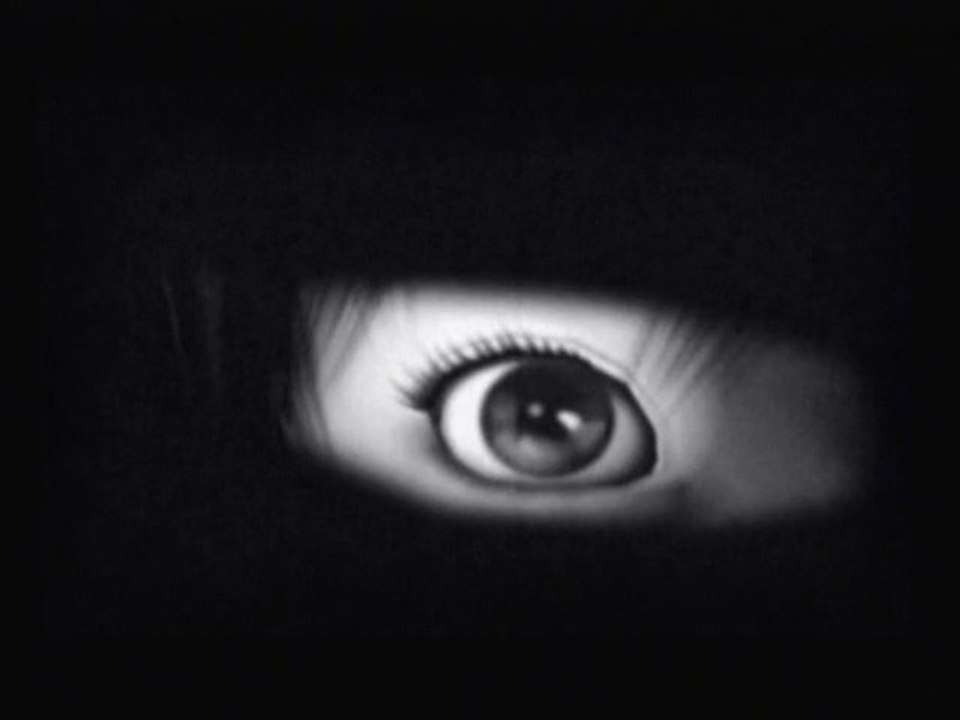 Project Zero [08] Le rituel de l'aveuglement