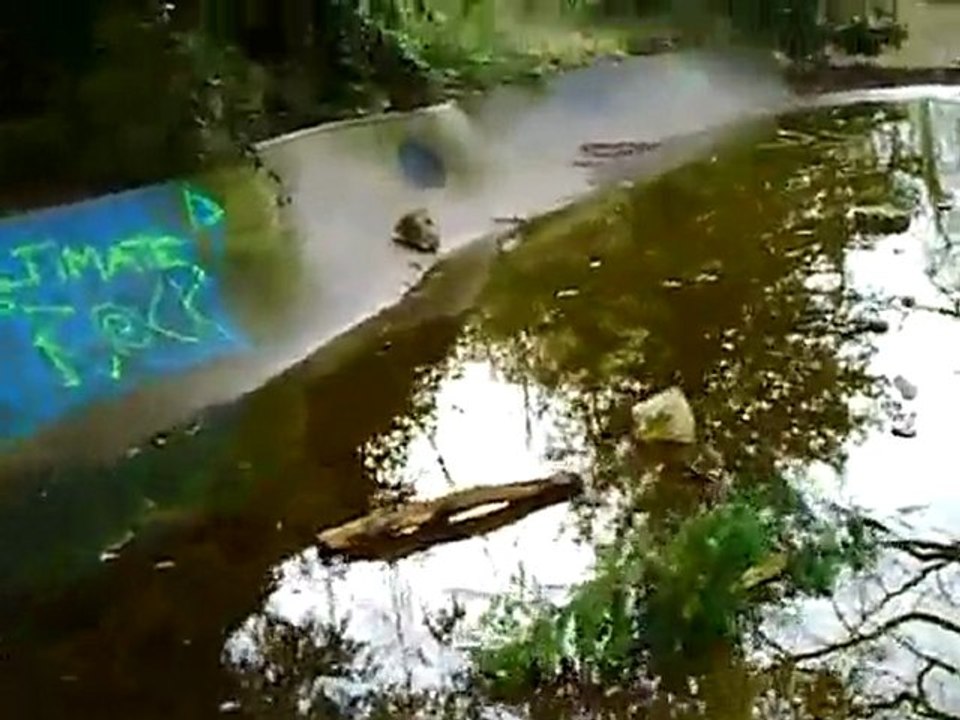 DEGRADATIONS PARC DE LA FONTAINE AUX PIGEONS DE LA FERTE SOU