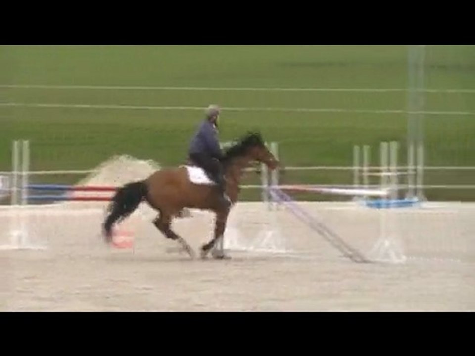 le printemps de Théo