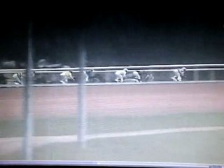 Akab le 28 mars à Lisieux