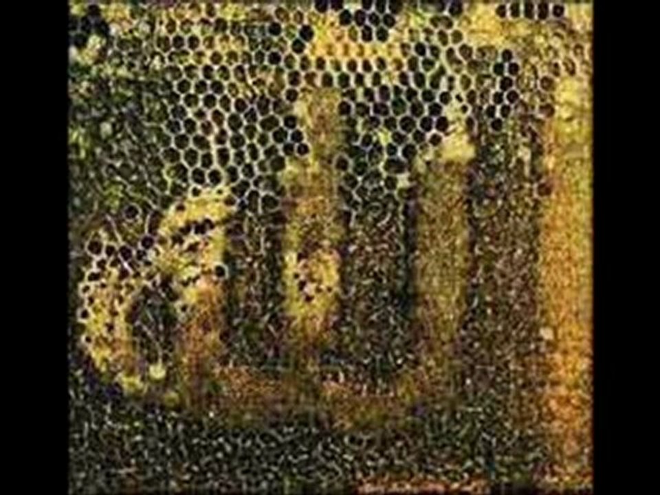 İbret Verici Görüntüler