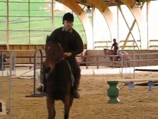 CSO interne mars 2010 : Douze et demi avec un adulte