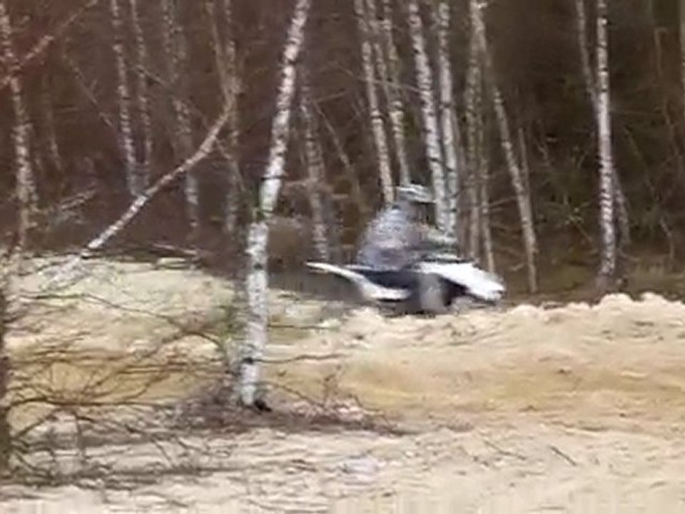 quad plailly du 29 03 2010 01