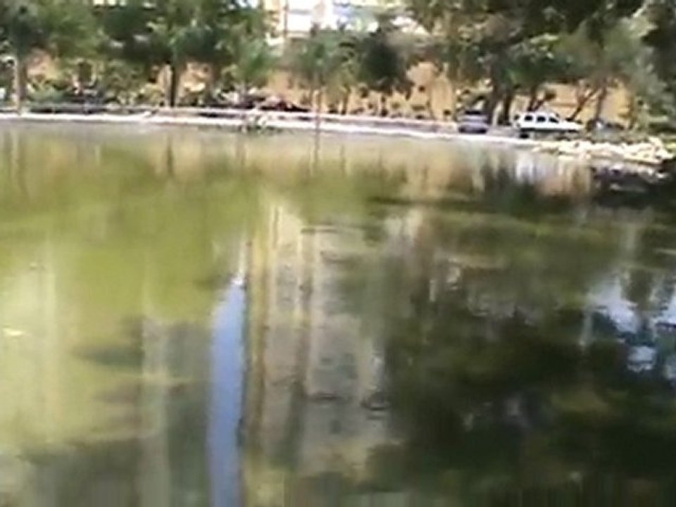 PARQUE MIRADOR SUR UNA OPCION EN SEMANA SANTA