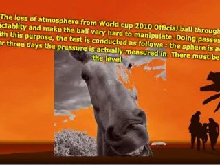 Fifa World Cup 2010 Official Ball