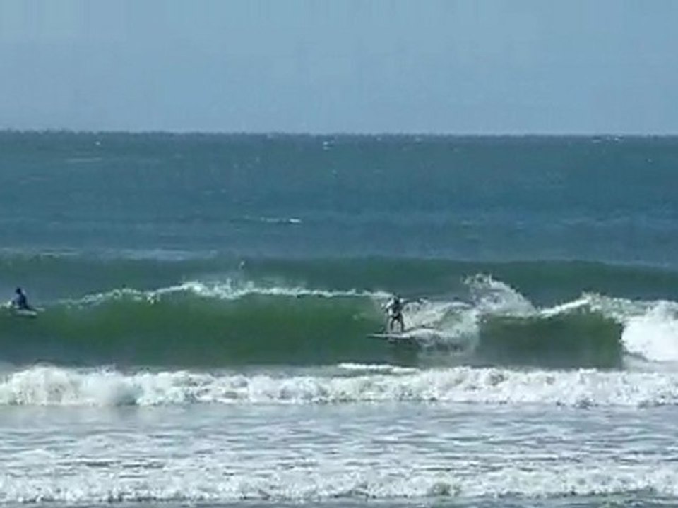 Noosa Head