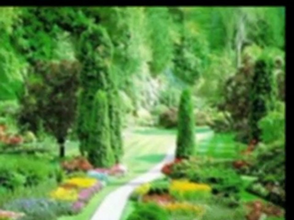 hakan altun - tercihimdir 2010