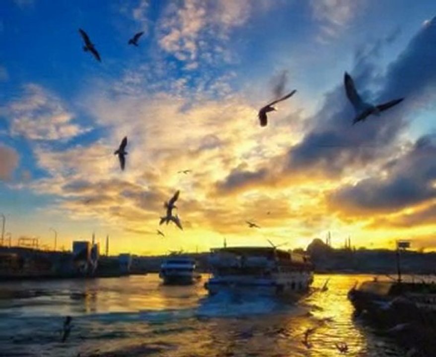 Vedat Sakman-Gitmezdim Bu Şehirden