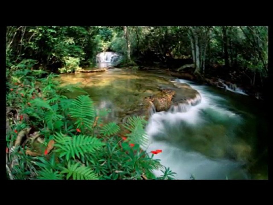 nature