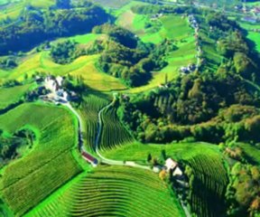 La Slovenie - Maribor et autre villes