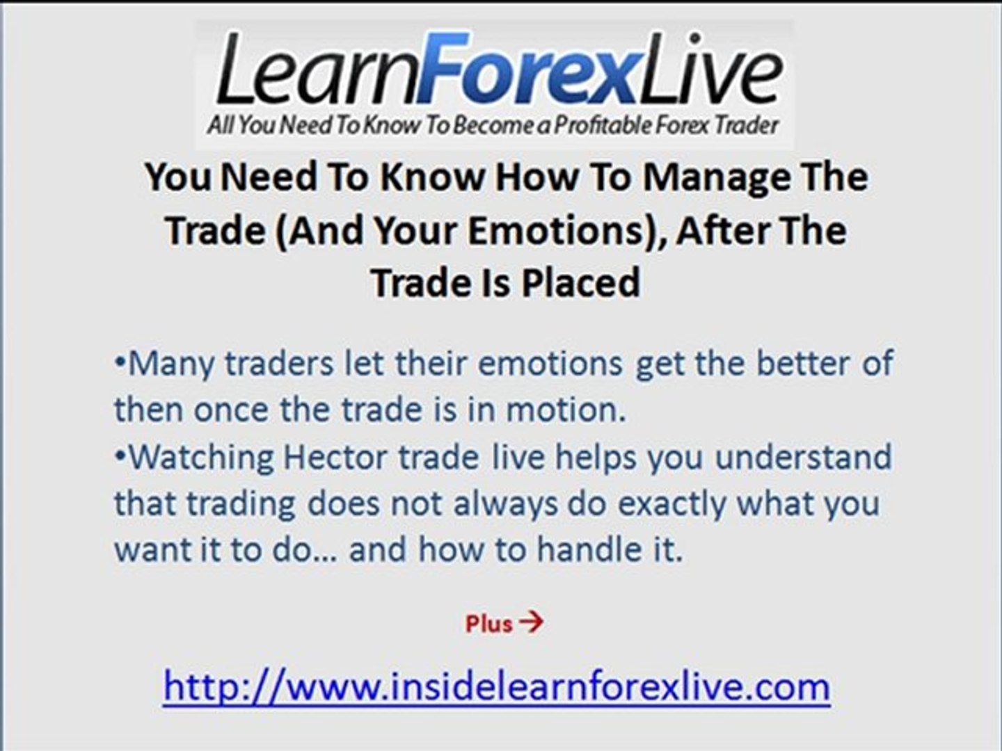 Learn Forex Live Importance Of Example Trades - 