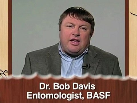 2010 Bug Forecast for Your City and Home: Don’t Get Bugged