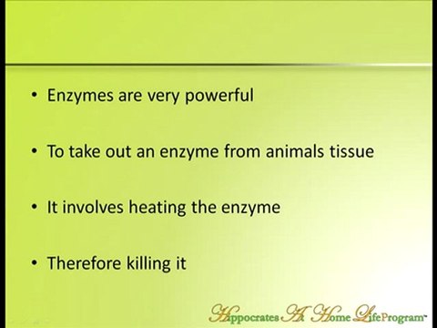 Digestive Enzymes & Systemic Enzymes – Important?