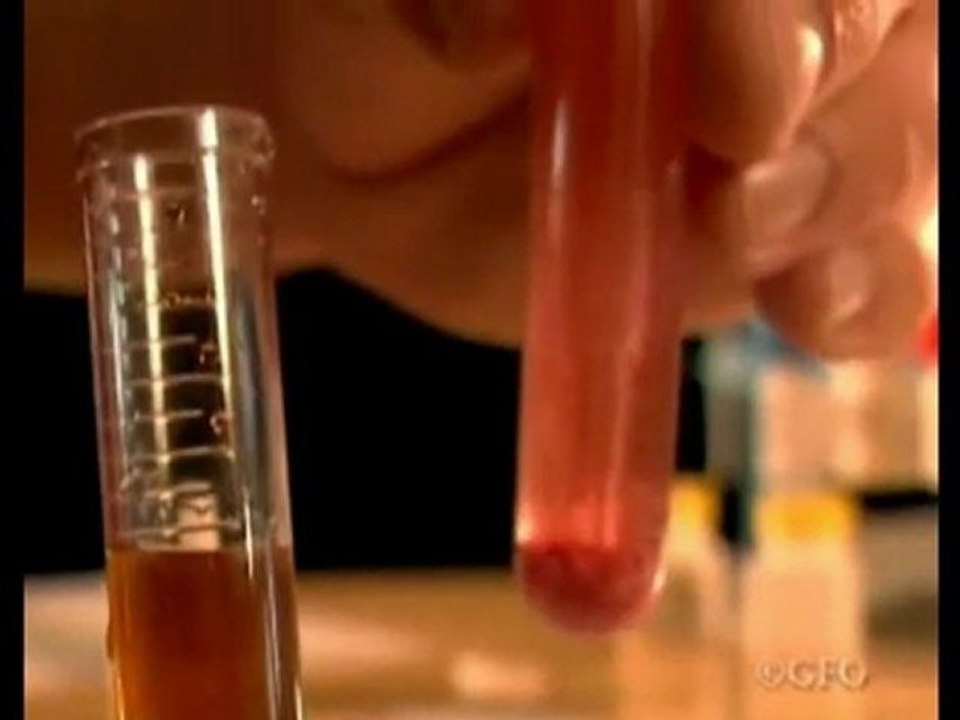 Help Prevent West Nile Virus and Breeding of Mosquitoes