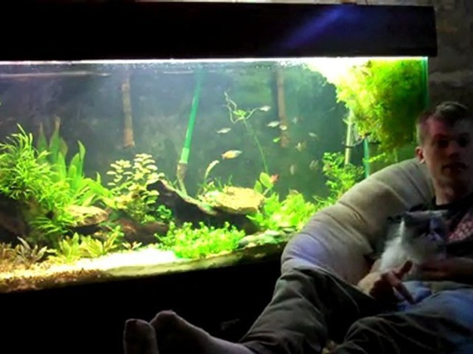Dustinsfishtanks. 220 planted tank, face time