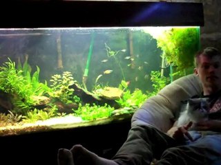 Dustinsfishtanks. 220 planted tank, face time