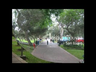 El Olivar y el Ovalo Gutierrez (1/2)